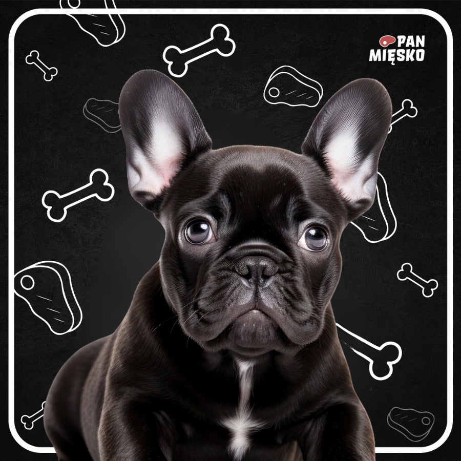 Pan Mięsko Dry food VEAL with QUAIL Small breeds PUPPY XS 9kg Manufacturer code 5904463130050