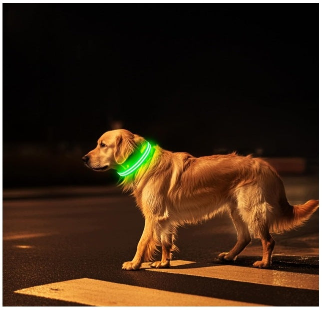 PcEoTllar Glowing Dog Collar, USB Rechargeable, Glowing Packaging status original