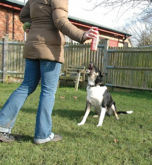 Pet Corrector Spray 30ml for Dog Training Manufacturer code 555