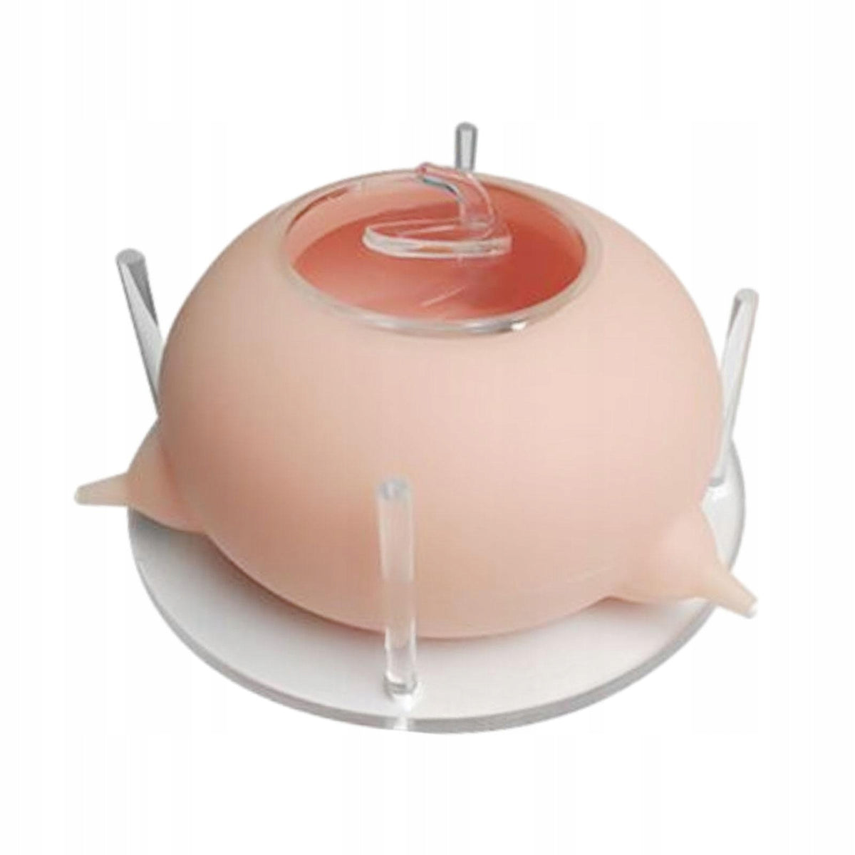 Pet Feeding Device Milk Puppy Feeder Feeding Acrylic Silicone Milk Pink Manufacturer code 10664062174