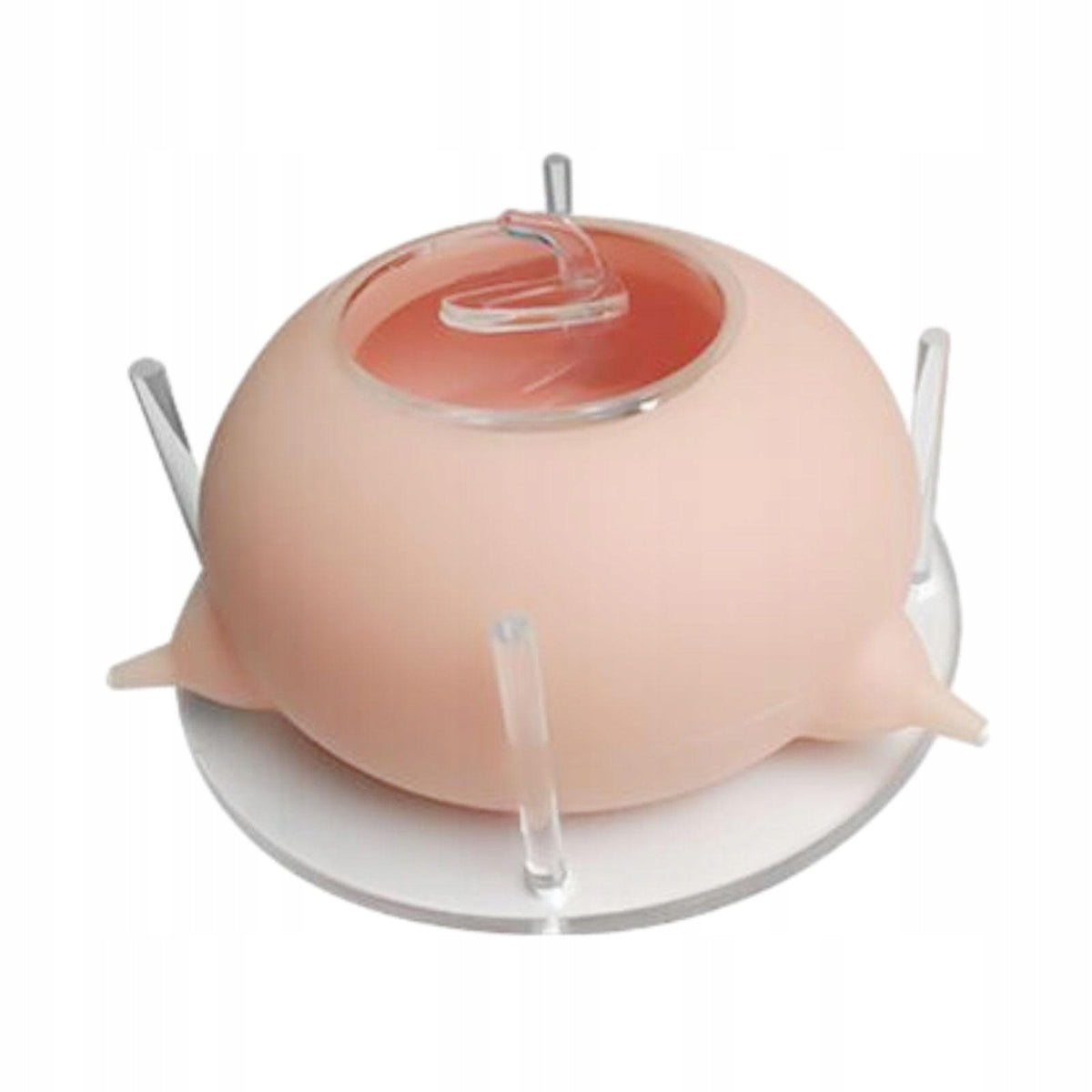 Pet Feeding Device Milk Puppy Feeder Feeding Acrylic Silicone Milk Pink Packaging status original
