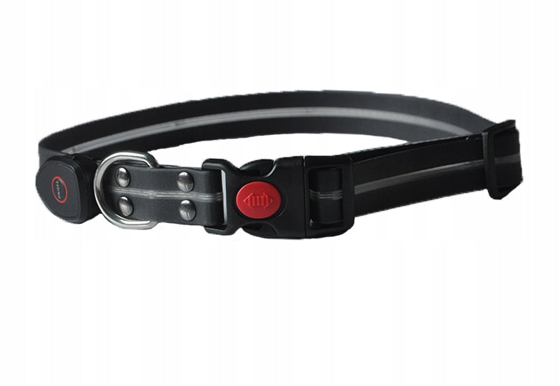 PetiGio LED Dog Collar USB-C Glowing Flashing Size M 41-50 cm