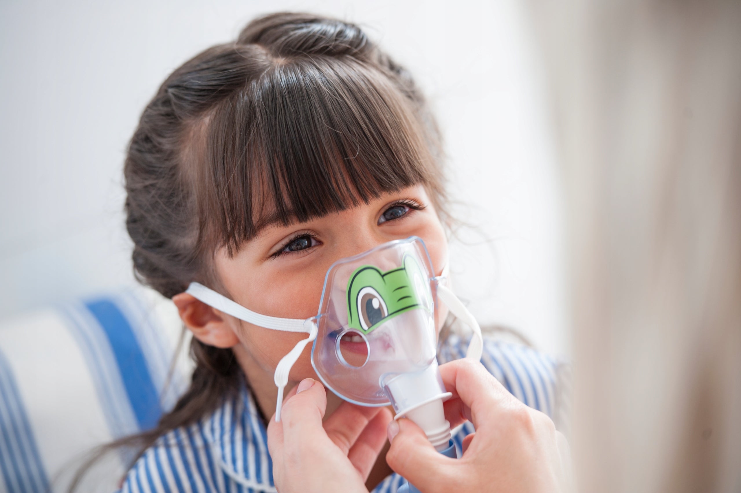 Philips Respironics Sami the Seal Inhaler Medical device yes