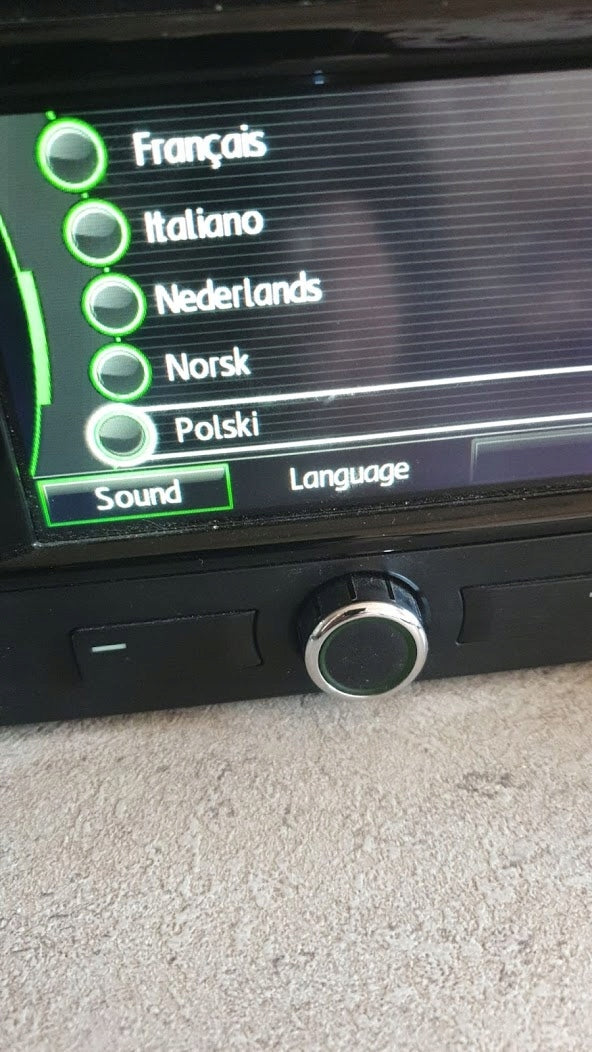 Polish menu and voiceover RNS310, Skoda Amundsen Seat Brand no brand