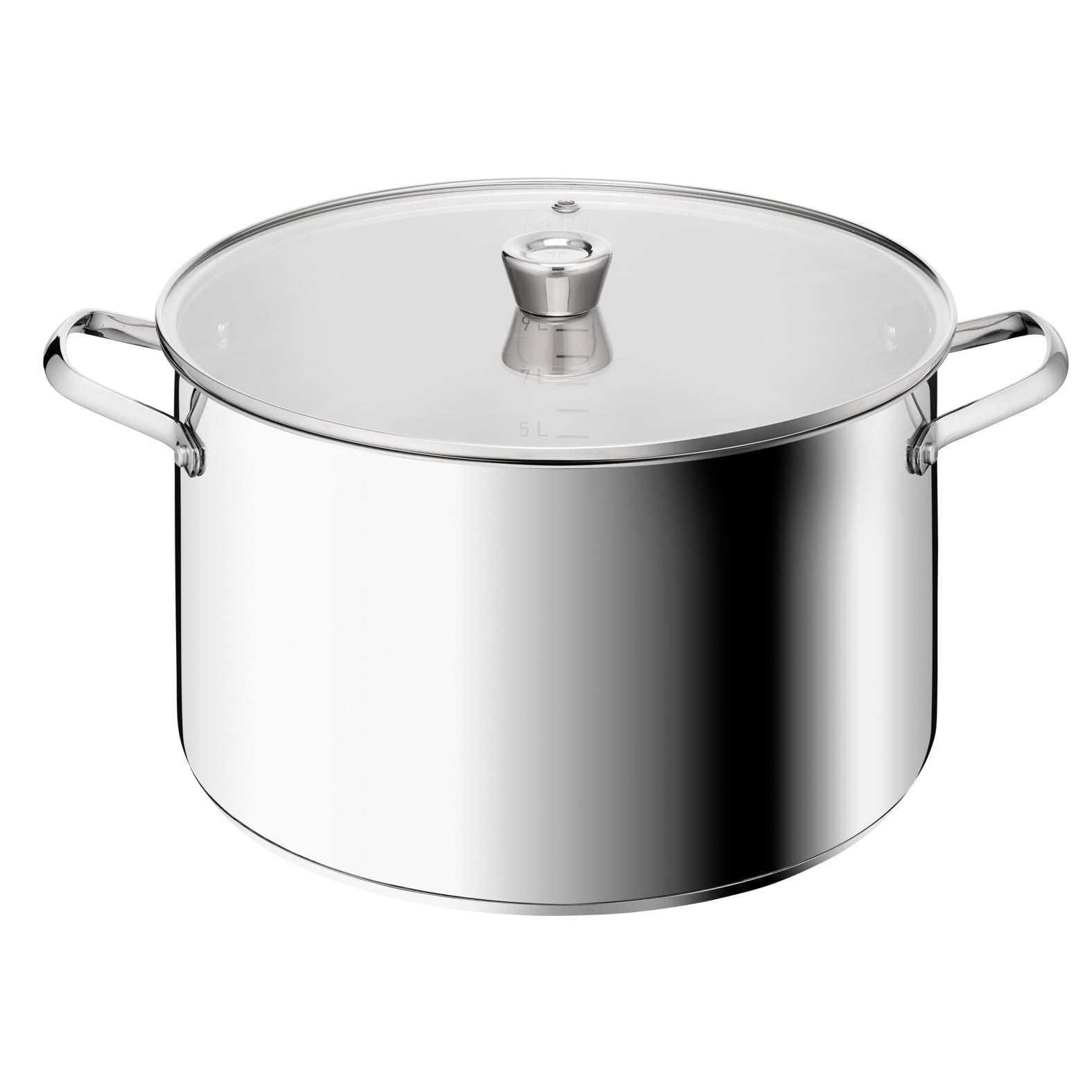 Pot with lid TEFAL Emotion+E3368555 32cm 13,8L induction