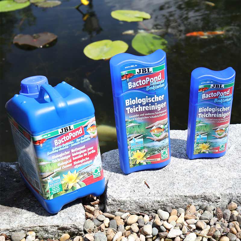 Preparation for pond water JBL BactoPond bacteria for self-cleaning 2.5L Brand JBL
