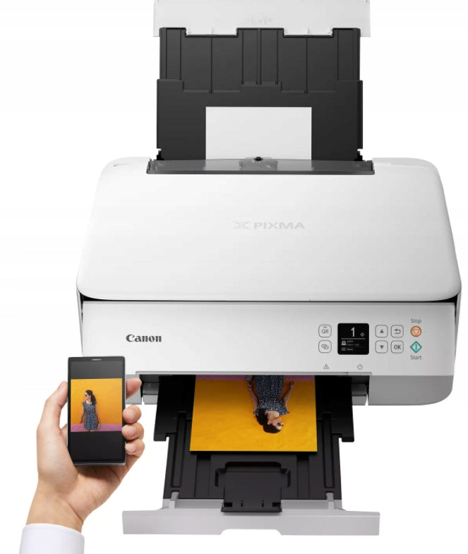 Printer Canon Pixma TS5351 WiFi Duplex 2 Inks Manufacturer code 3773C026AA