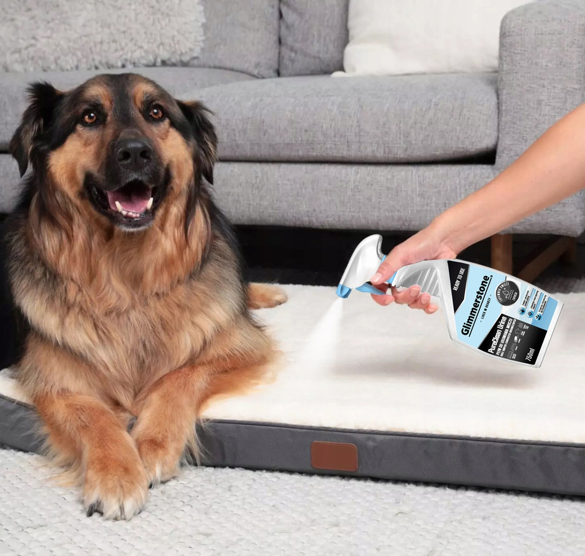 Professional CAT URINE Scent NEUTRALIZER - STAIN REMOVAL LIQUID Manufacturer code Płyn do usuwania moczu i zabrudzeń
