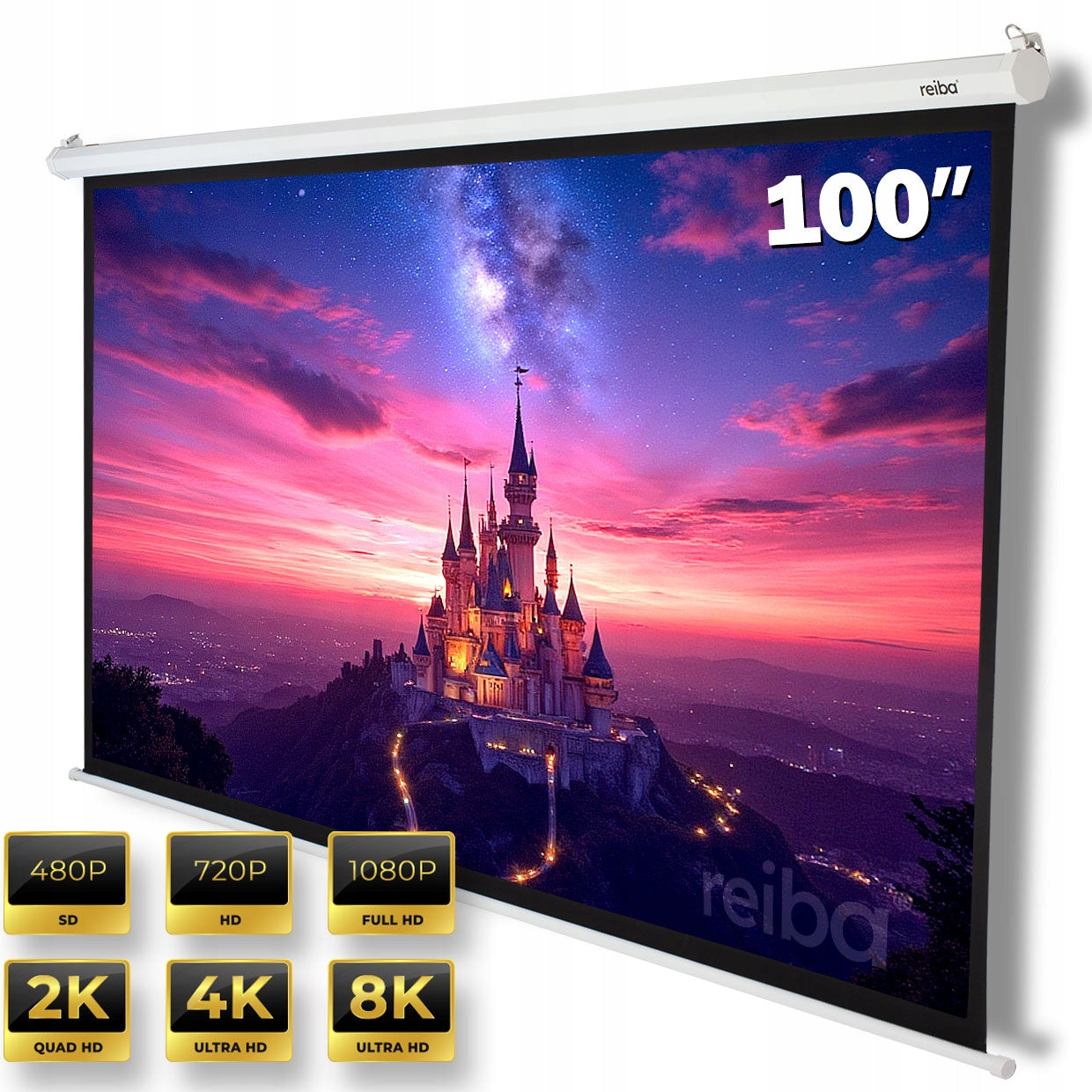 Projection Screen 220x125 16:9 100 Inch Wall Mounted Full HD 4K Ceiling