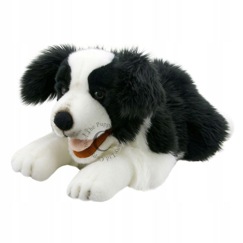 Puppet Company: plush toy puppet dog Collie 44cm 3007