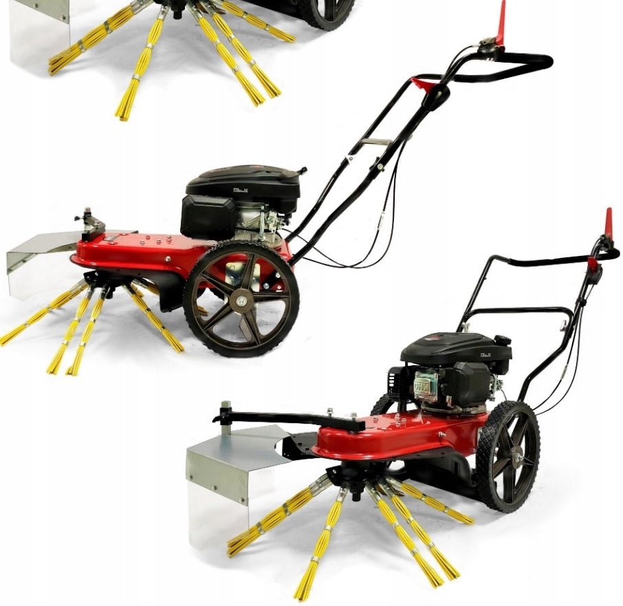 Pushed diesel weeder CEDRUS SC02 Loncin