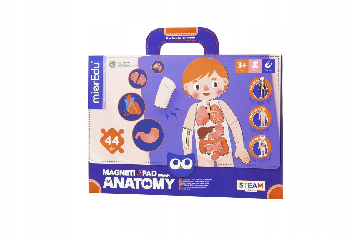 Puzzle magnetic pad Human anatomy