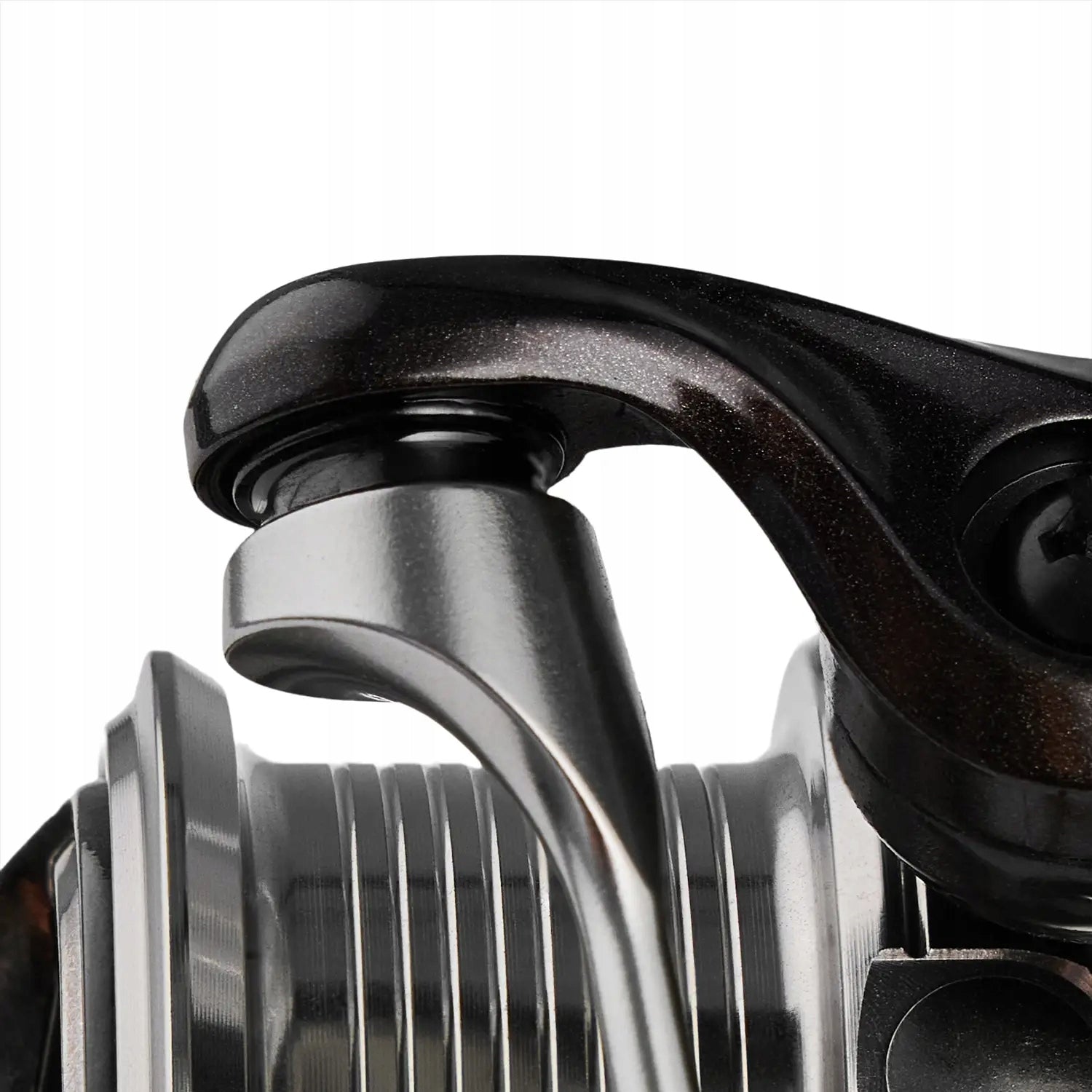 REEL FAVORITE TOTEM C3000 TTMC301 10+1BB 5.2:1 Brand Favorite