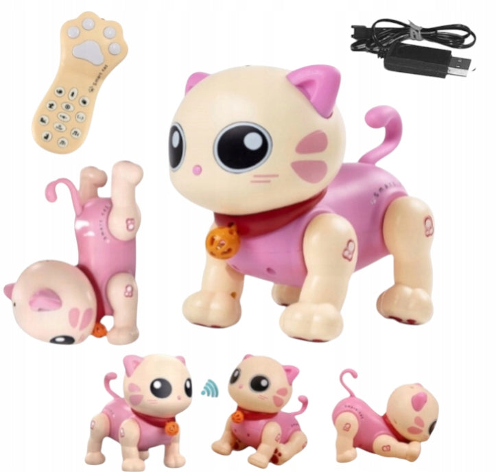 ROBO CAT REMOTE CONTROLLED REMOTE CONTROL VOICE USB BATTERY TRICKS SOUND Manufacturer code Kot105