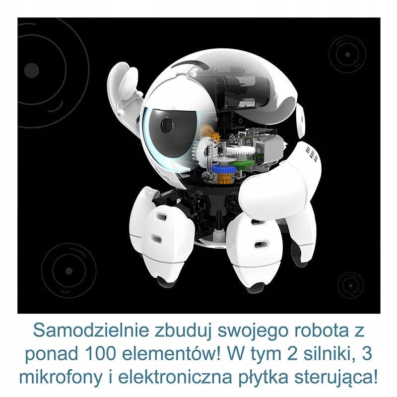 ROBOT Bitsy PIATNIK Brand Kosmos