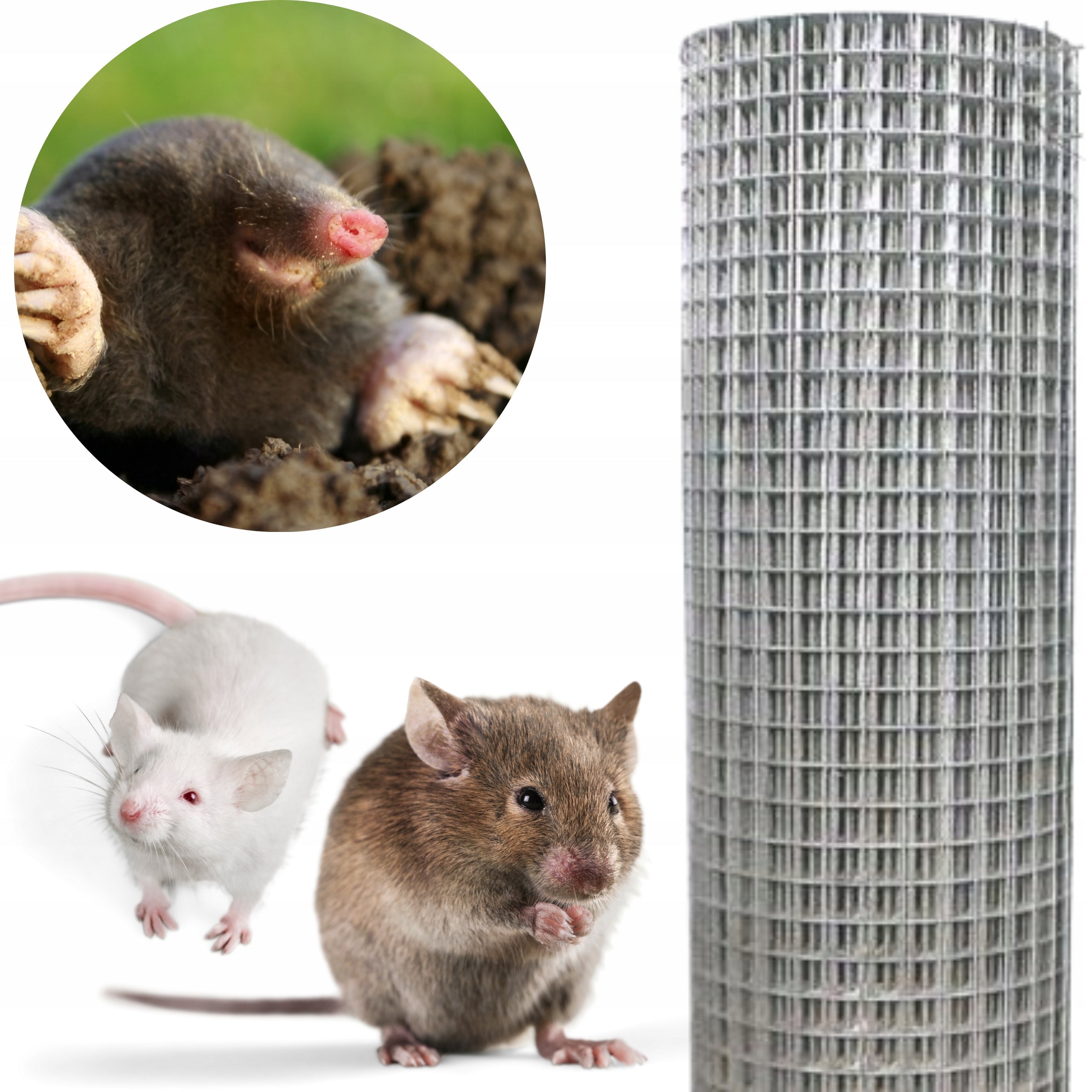 RODENT MESH CRETE WELDED 10 MB GALVANIZED FINE 12x12MM ROLL