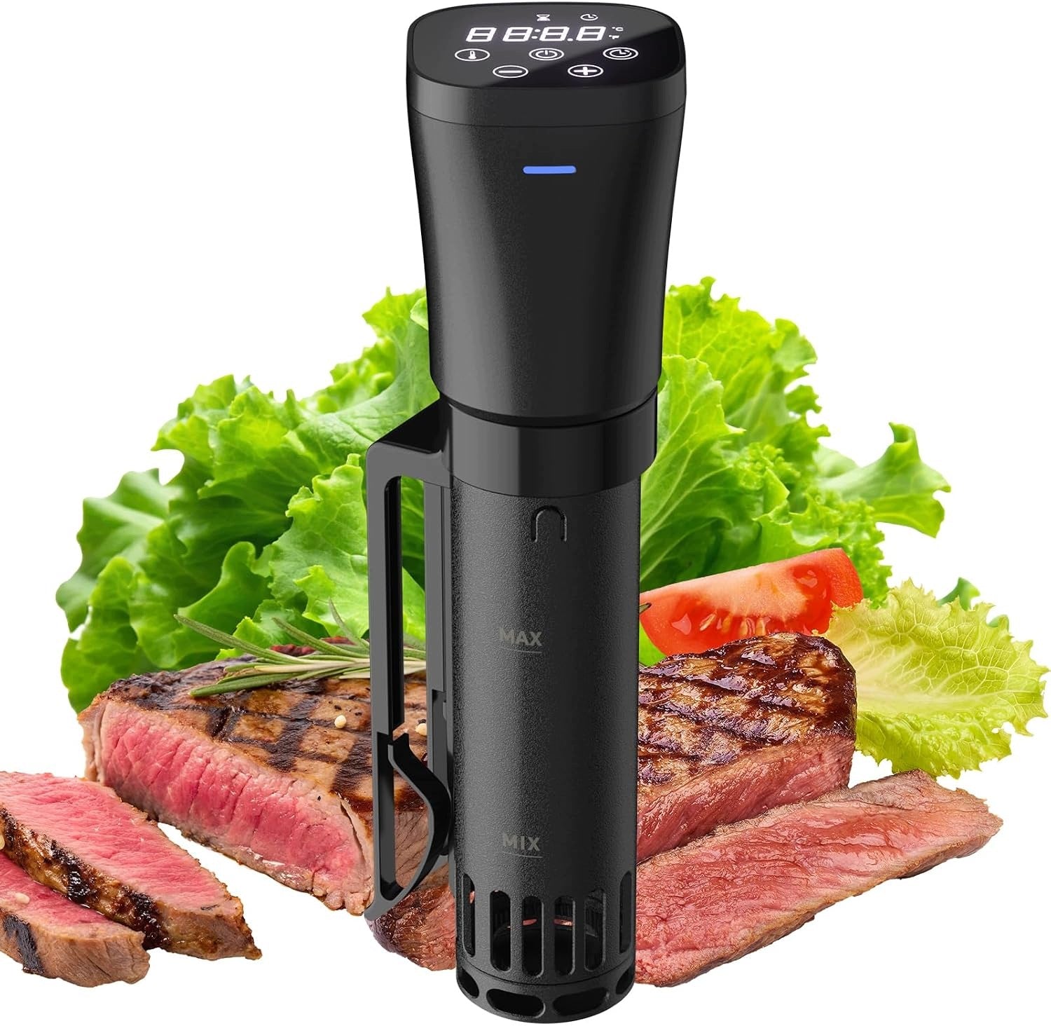RONER SOUS VIDE 1000W TIMER THERMAL CIRCULATOR 25-92.5°C