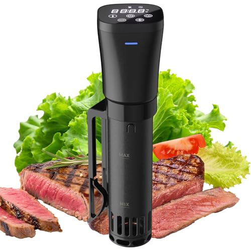 RONER SOUS VIDE 1000W VEGETABLE MEAT COOKING TIMER for home gift Brand no brand