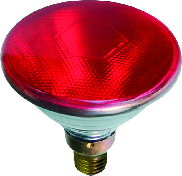 Radiator bulb E27 infrared sollux 175W