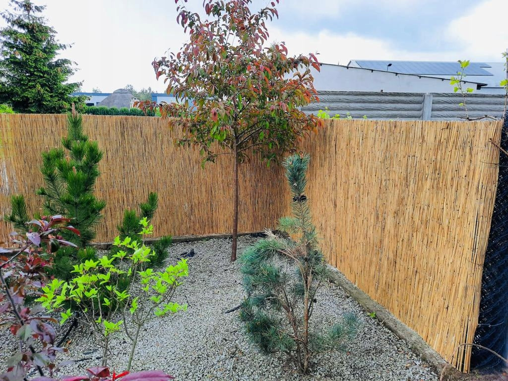 Reed mat 100 x 600 cm Reed mats 1.0 x 6 Brand no brand