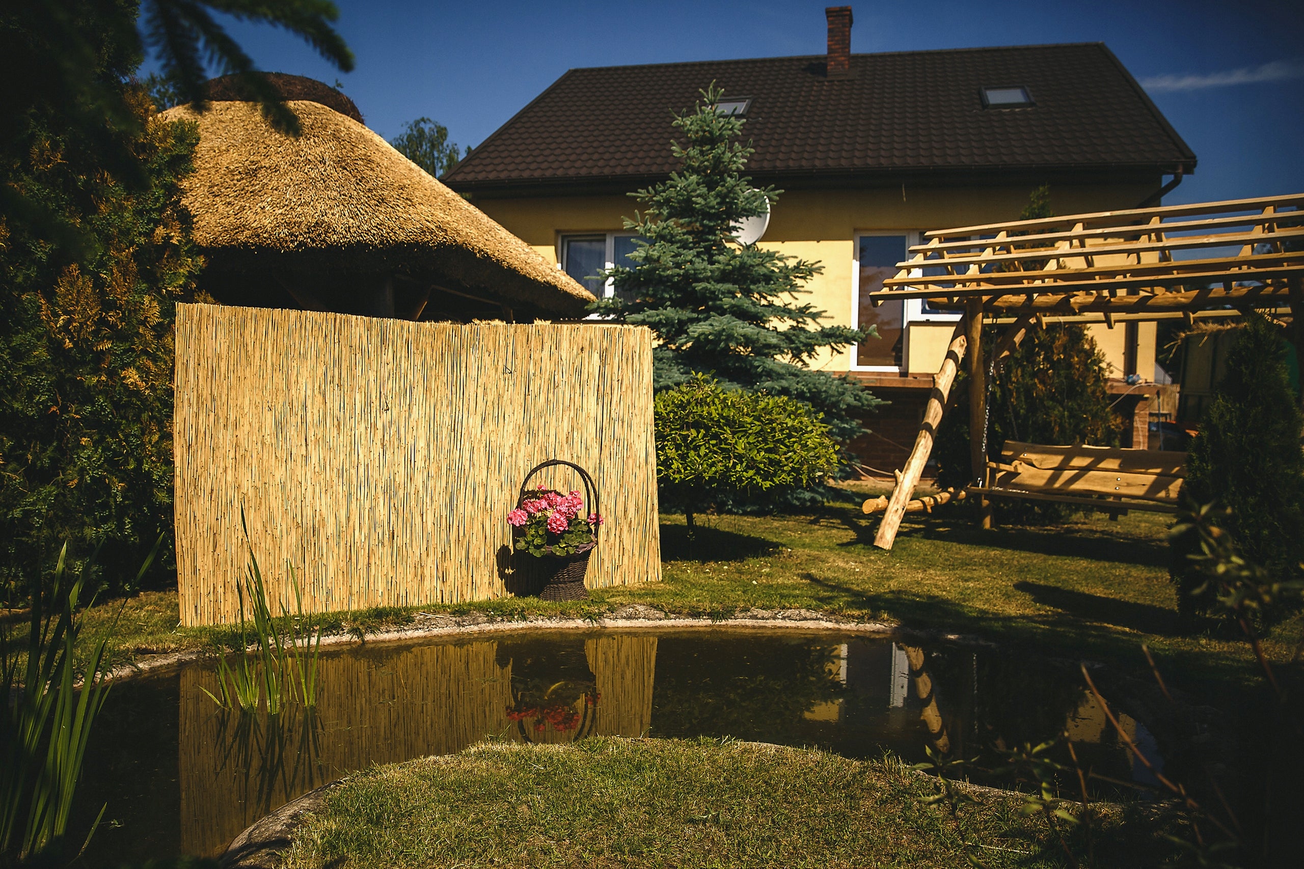 Reed mat reed mats reed 1.6x6.0m PROMOTION Shape other