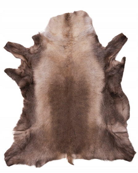 Reindeer Scandinavian Decorative Leather 2 Class