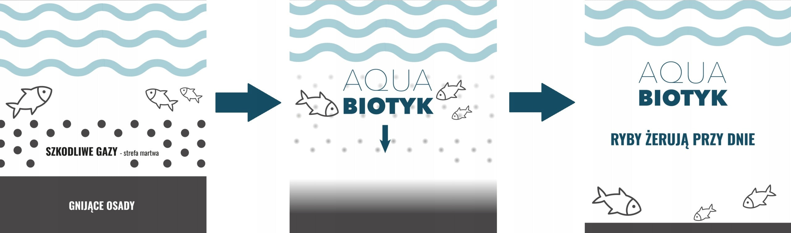 Removes silt, algae, pond sediment and mesh On cyanobacteria - 1L Clarifies Water Packaging status original