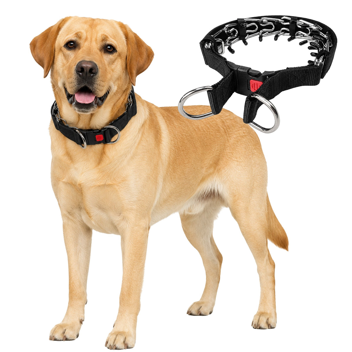 SAFE DOG COLLAR EARRING FOR TRAINING STEEL LARGE XXL BLACK Packaging status original