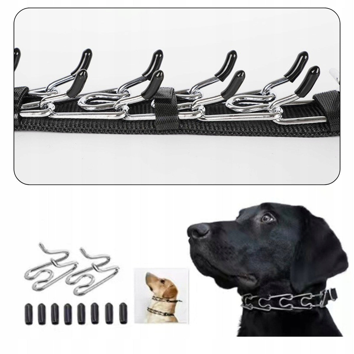 SAFE METAL STEEL EARRING COLLAR FOR DOG SIZE - XL Manufacturer code E0159