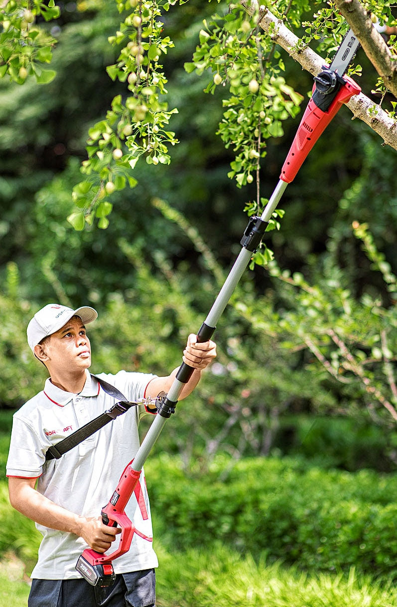 SAW TELESCOPIC CORDLESS ON BOOM FOR BRANCHES Batteries included no