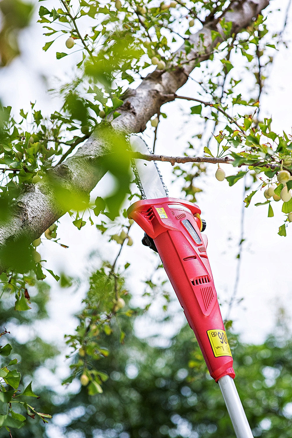 SAW TELESCOPIC CORDLESS ON BOOM FOR BRANCHES Guide length 2 cm