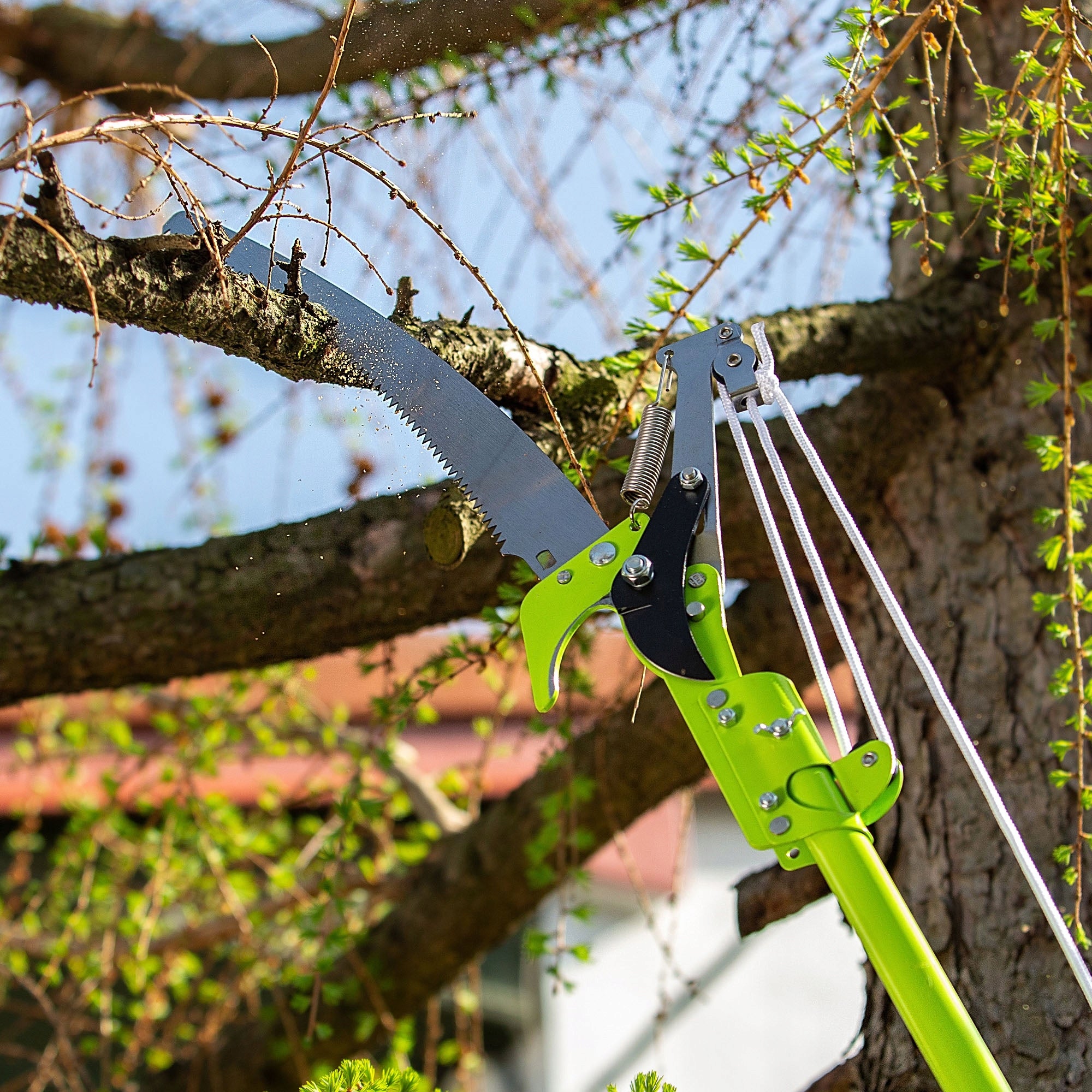 SAW WITH PRUNER ON TELESCOPIC SHANK 142-287cm BLADE 29cm FOR BRANCHES Power supply handheld