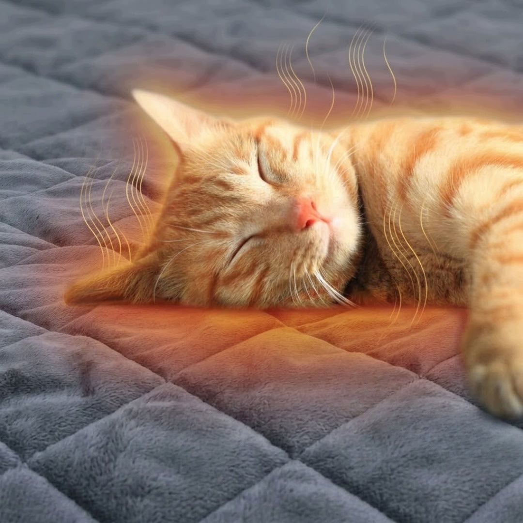 SELF-HEATING MAT FOR CATS AND DOGS BED PET MAT Brand no brand
