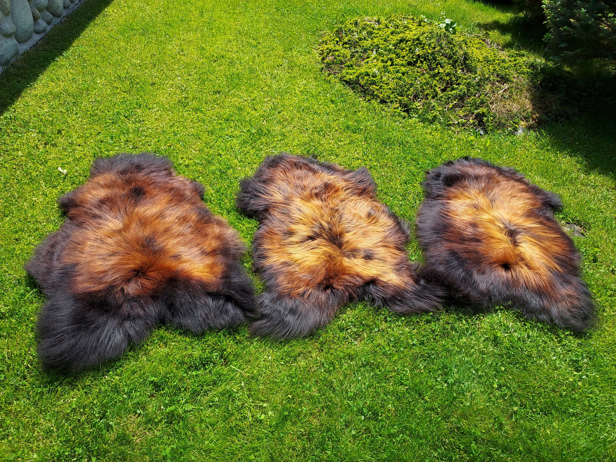 SHEEPSKIN FIERY BLACK XXL UNIQUE BLACK WITH FLAMES Brand no brand