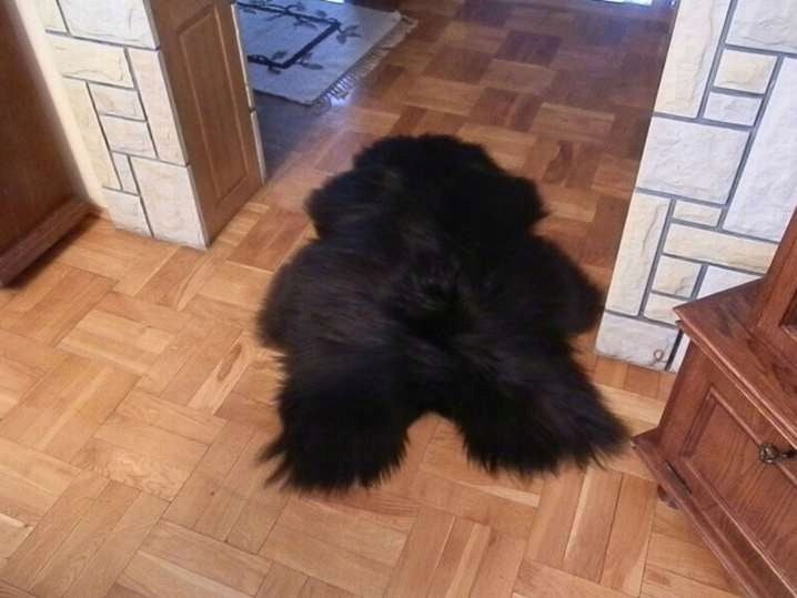 SHEEPSKIN RUG BLACK Polish NATURAL PRODUCT Manufacturer code 35A