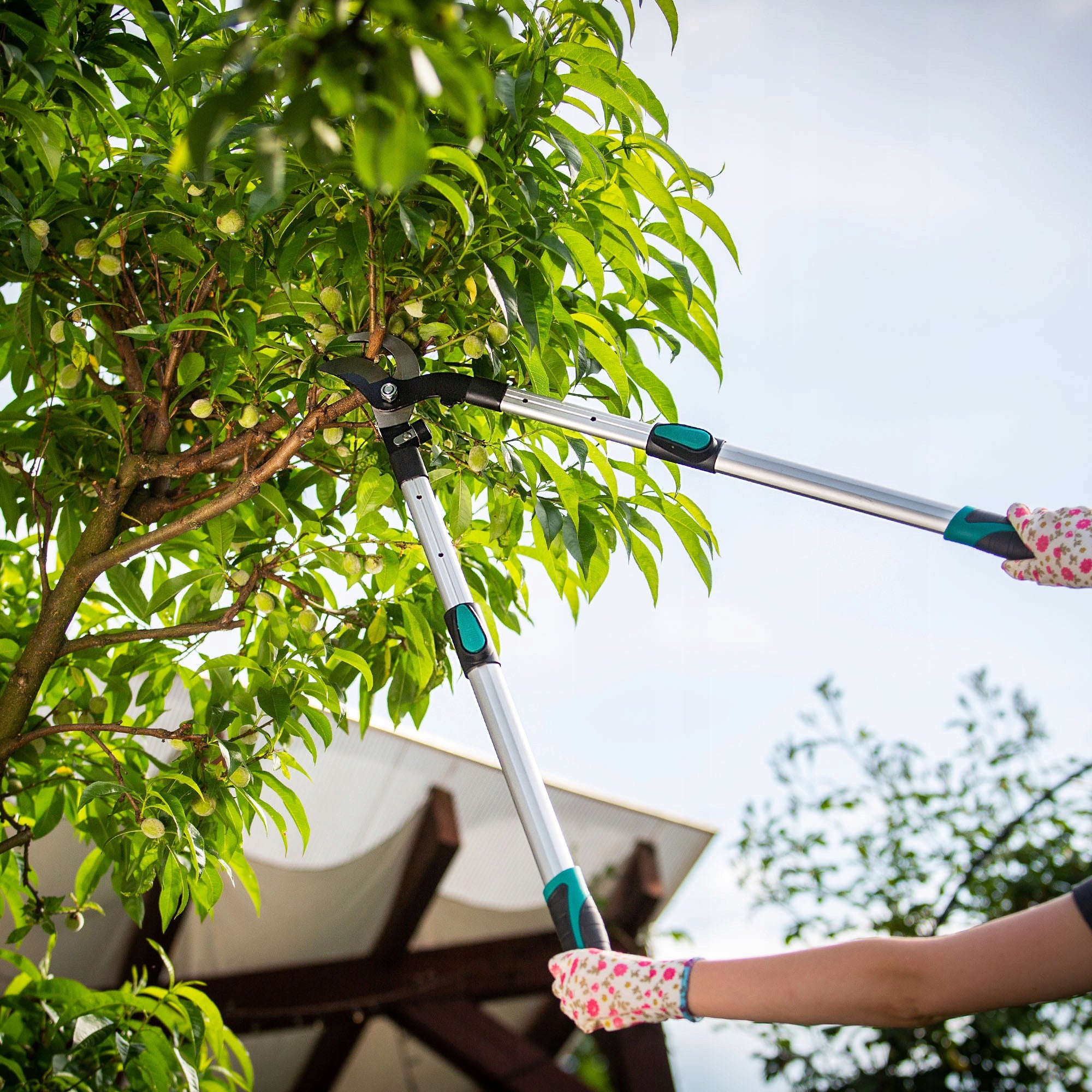 SHRUB BRANCH PRUNER TELESCOPIC HANDHELD GARDEN SCISSORS SOLID SHARP Packaging status original