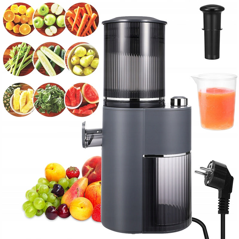 SLOW JUICER FOR FRUITS AND VEGETABLES