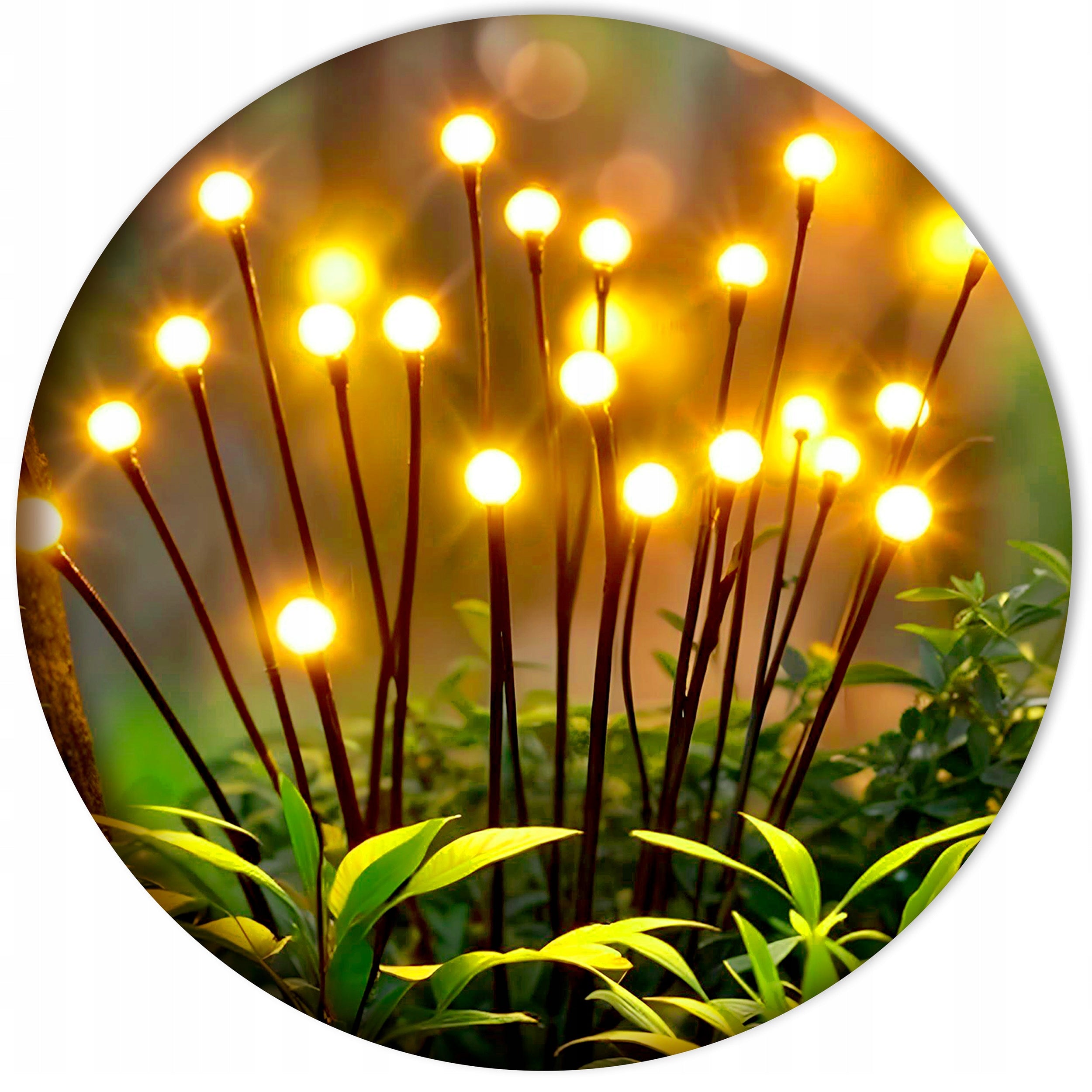 SOLAR LIGHTS FOR GARDEN SKYLIGHTS DUSK SENSOR WATERPROOF OUTDOOR Packaging status original