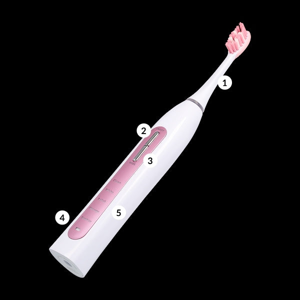SONIC TOOTHBRUSH VITAMMY AURUM ROSE +ETUI 5PROGRAMS TIMER Brand VITAMMY