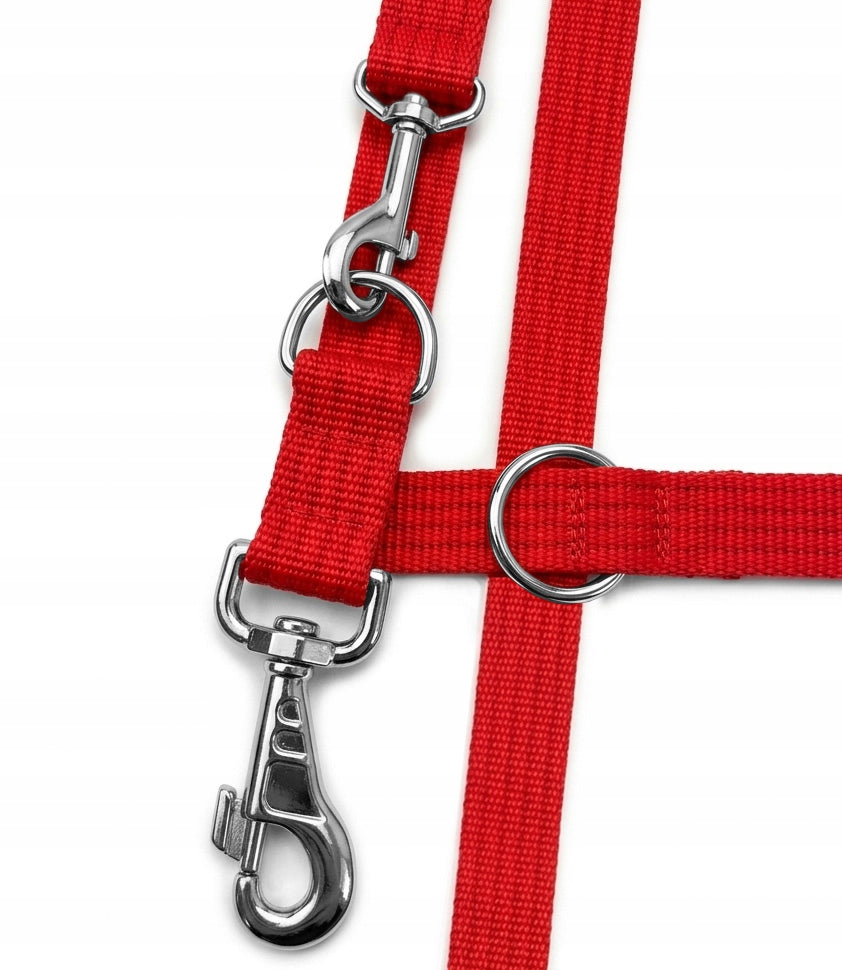 STRONG ADJUSTABLE LEASH FOR BIG DOG DETACHABLE FOR TRAINING DURABLE 3m Brand Lililove