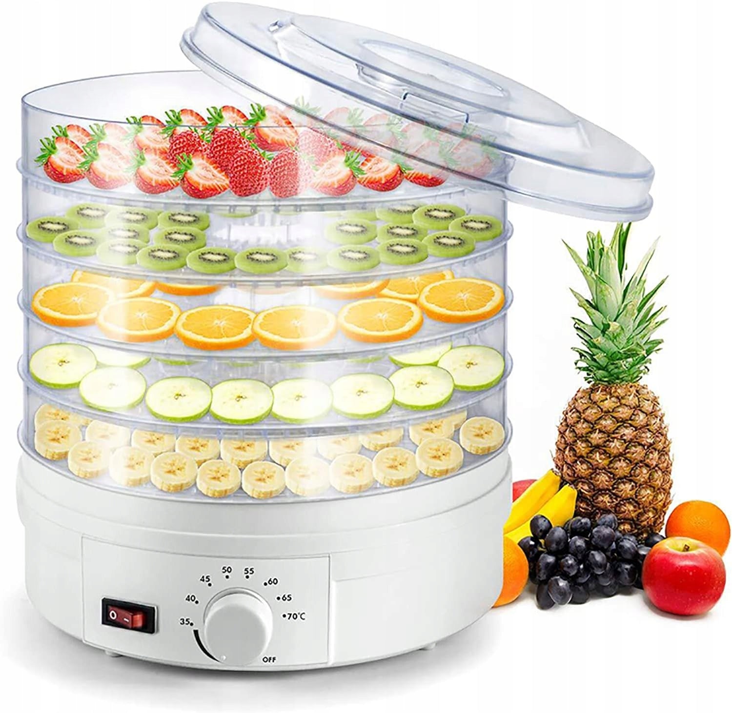 STRONG VEGETABLE FRUIT MUSHROOM HERB DRYER | 350W | BPA FREE | 5 SIEVES