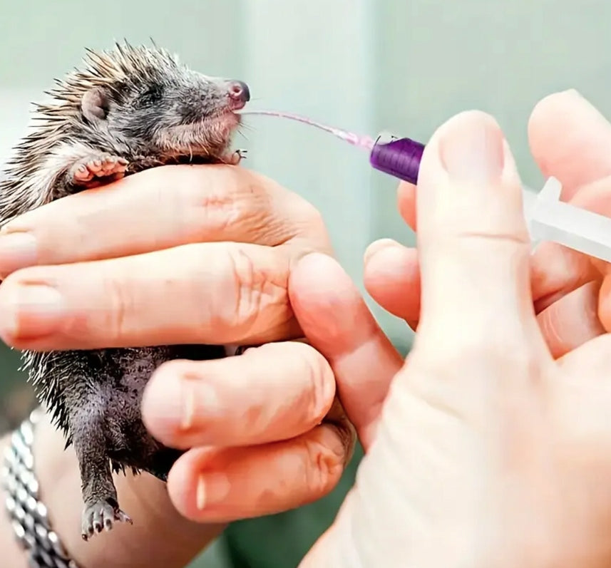 SYRINGES WITH TUBE FOR MANUAL FEEDING OF HEDGEHOG BIRD CHICKS Brand no brand