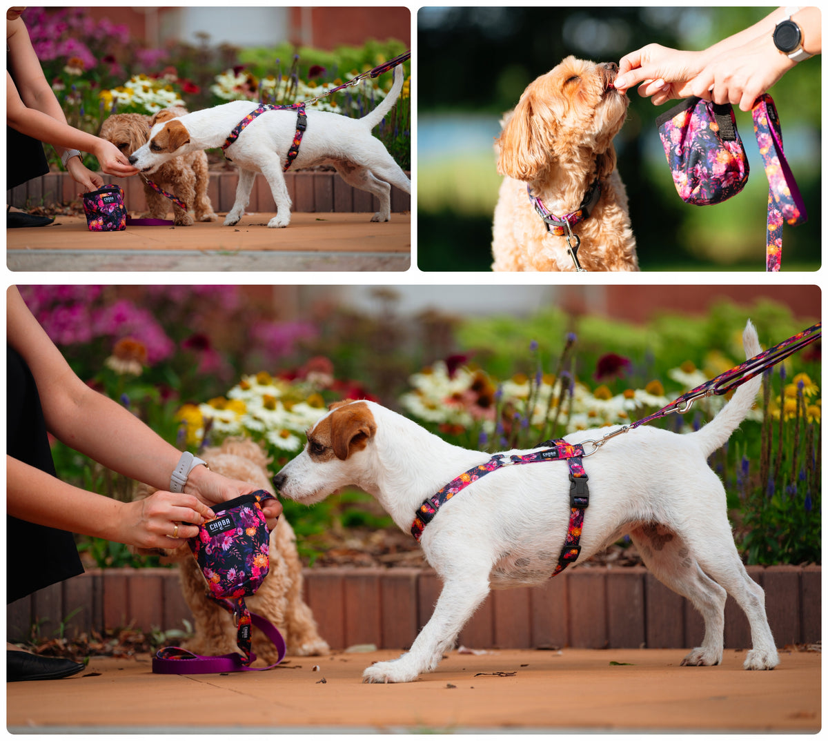 Sachet pouch for dog trainers - Chaba Marigold Brand Chaba