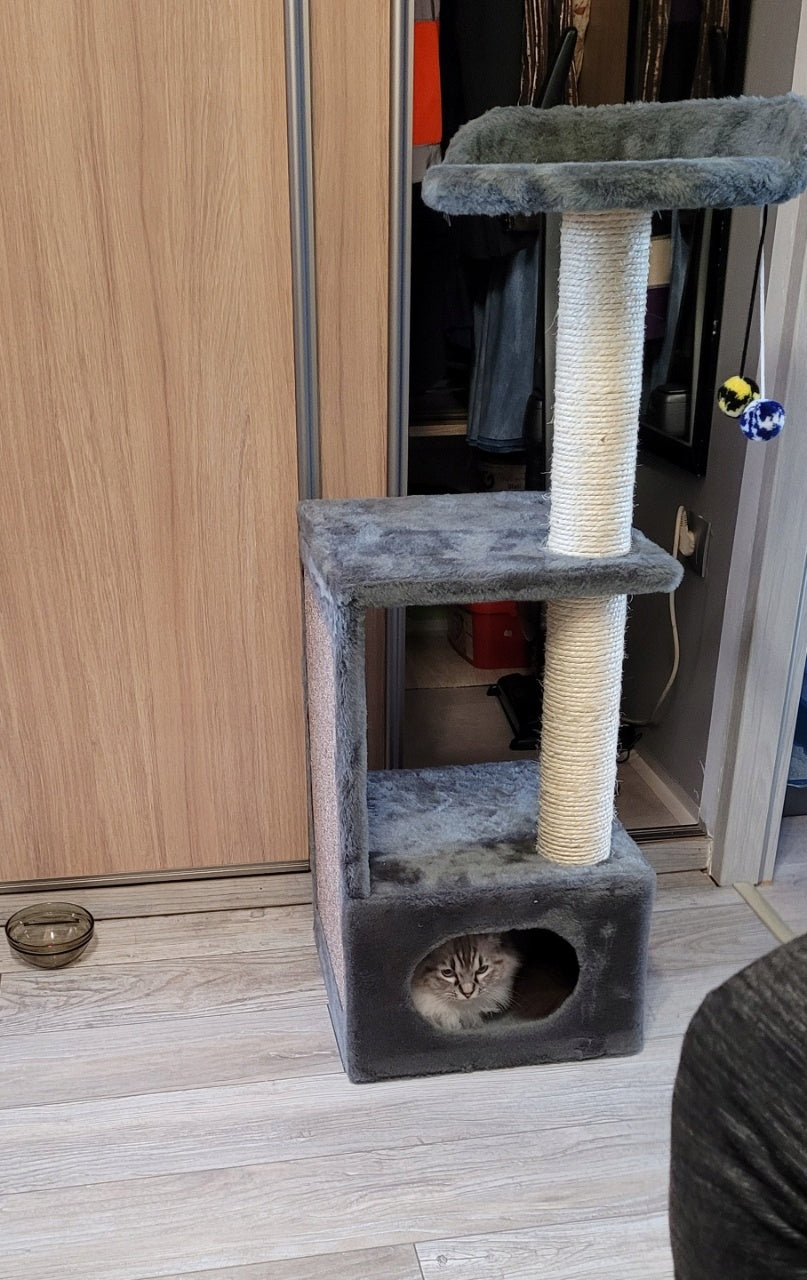Scratcher for Cat 05c Brand Dep-Mal
