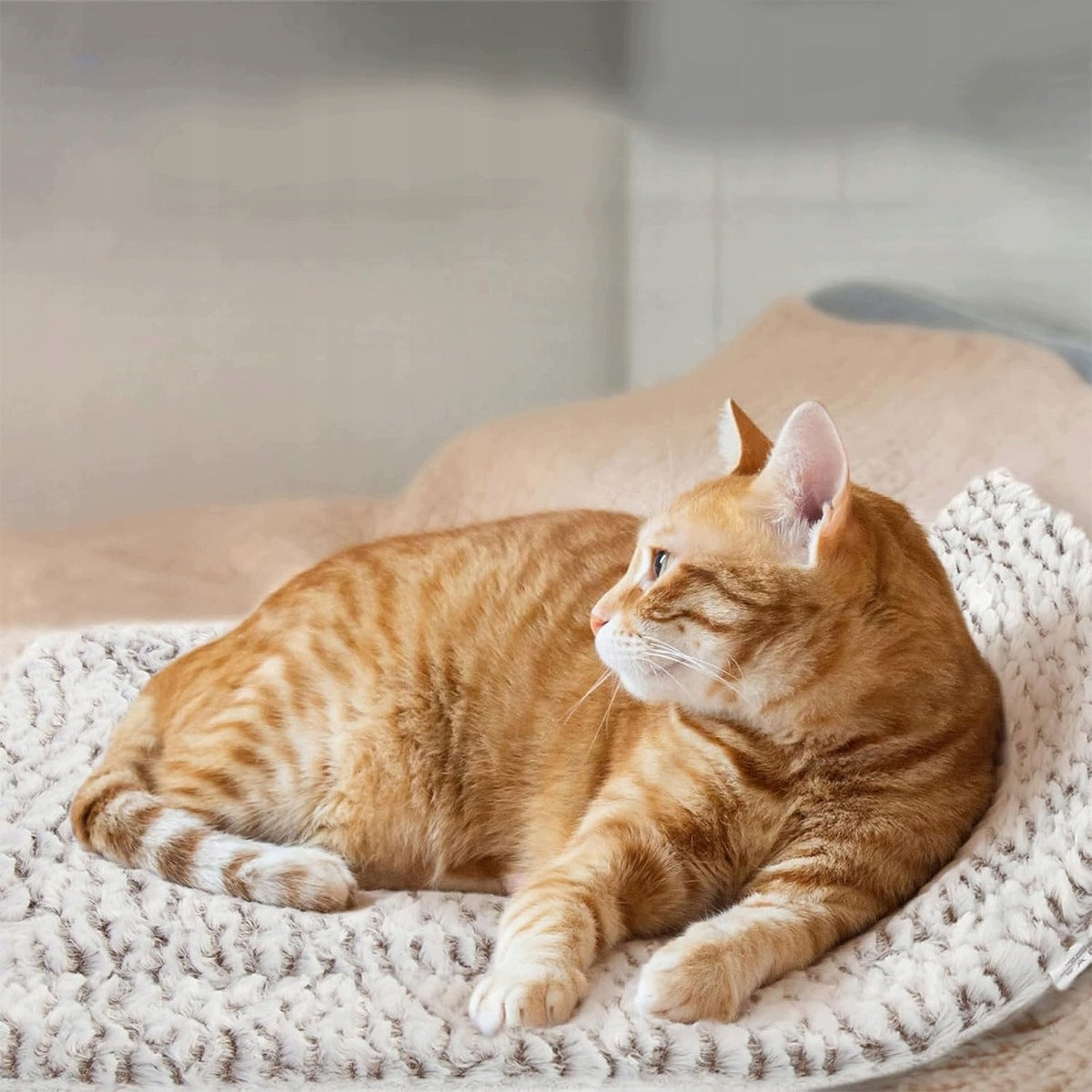 Self-Heating Mat for Pet Cat Dog 56 x 42 Thermal Insulation Bed Manufacturer code 4038203612924
