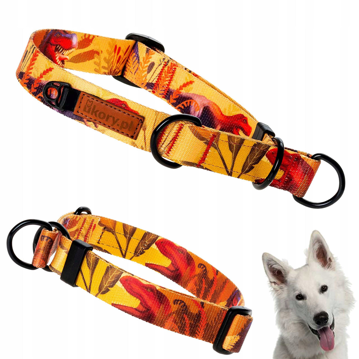 Semi-clamp collar for big dog 42-62 cm Ukory ORANGE dinosaurs