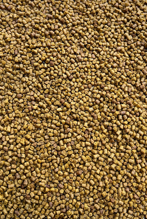 Set Method Mix Dynamic Corn 800g + Pellet Epidemic CSL 2mm 800g Packaging status original