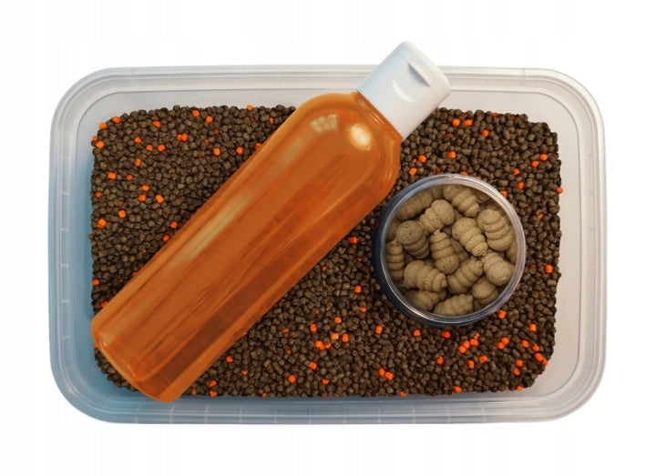 Set Multipack 3in1 Feeder Bait TIGER WALNUT Pellet 2mm Booster Snail Manufacturer code Zestaw Multipack 3w1 Feeder Bait ORZECH TYGRY