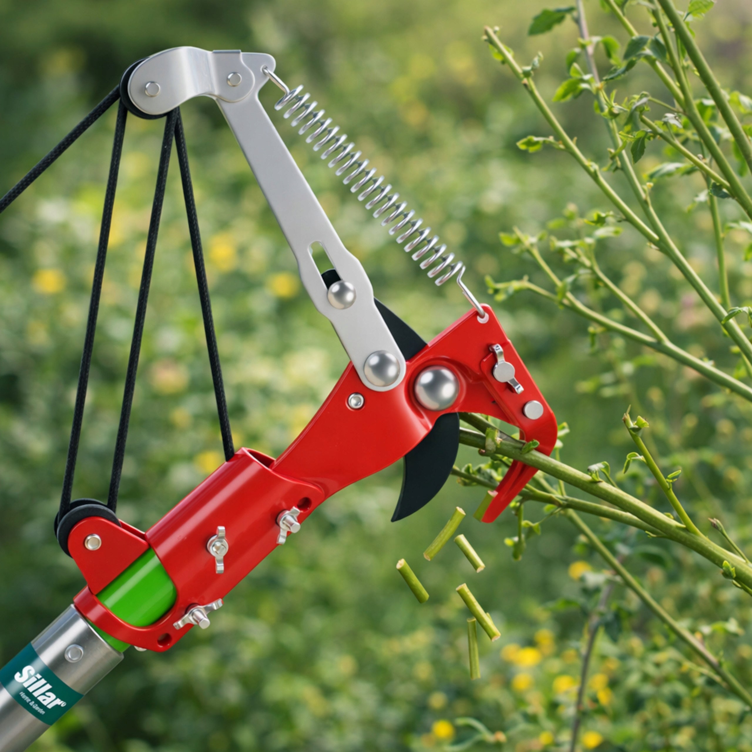 Set Sillar Telescopic sectional saw 6m rope pruner + 3x saw blade Brand Sillar
