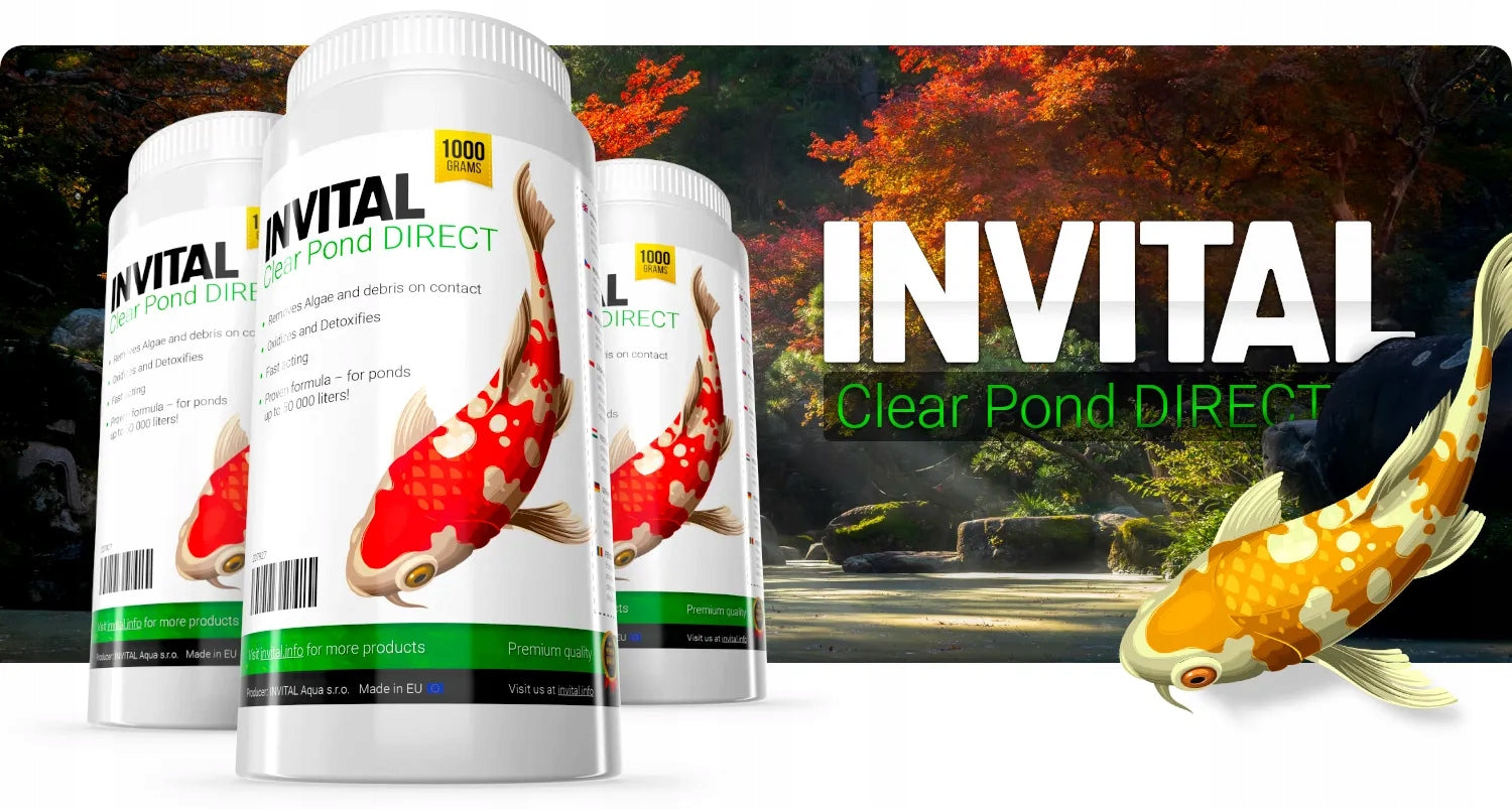 Set of 3 INVITAL Clear Pond Direct 1 kg eliminates thread algae EAN (GTIN) 8596674012491
